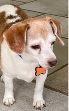 Load image into Gallery viewer, Bone Name Tag